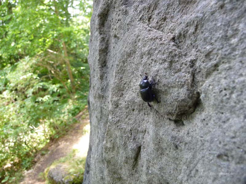 Kletterfotos Landschaften