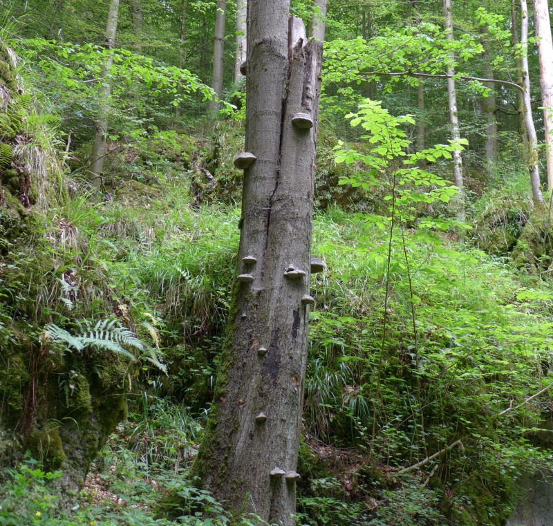 Kletterfotos Landschaften