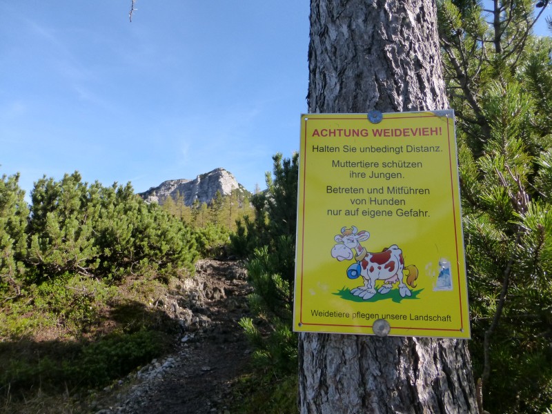 Kletterfotos Bergsteigen