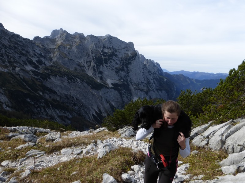 Kletterfotos Bergsteigen