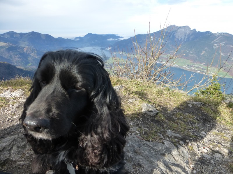 Kletterfotos Bergsteigen