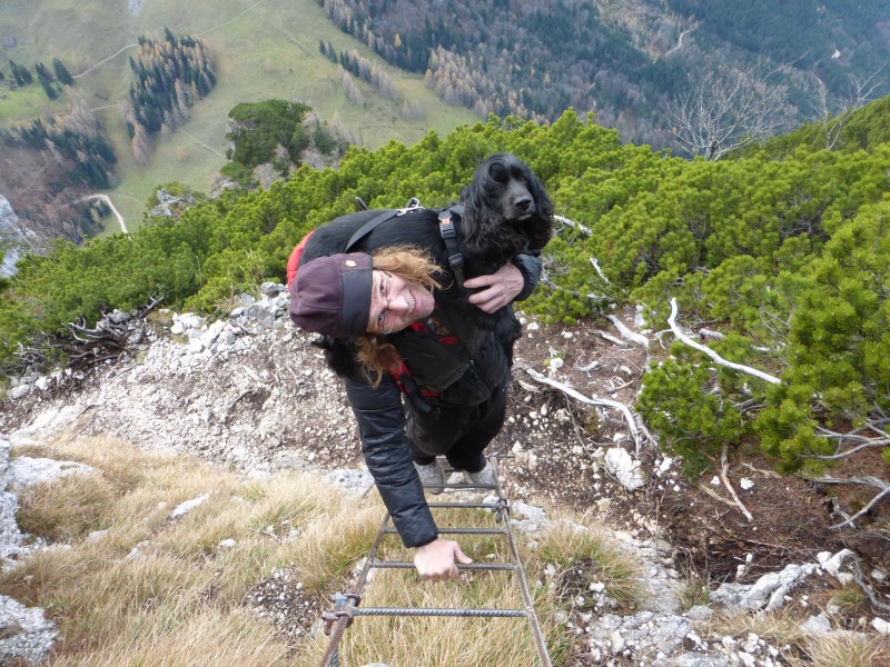 Kletterfotos Bergsteigen