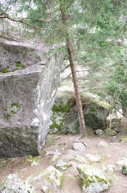 Kletterfotos Bouldern