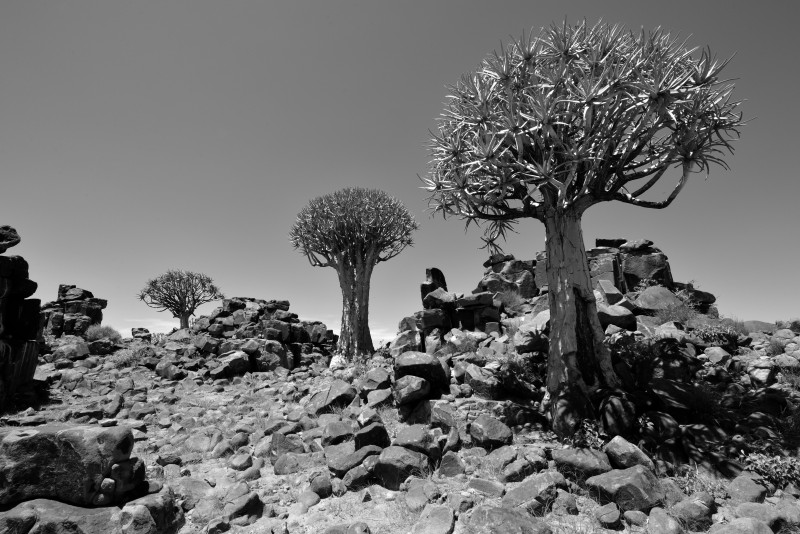 Kletterfotos Landschaften